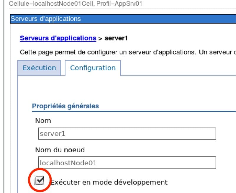 Run in development mode
